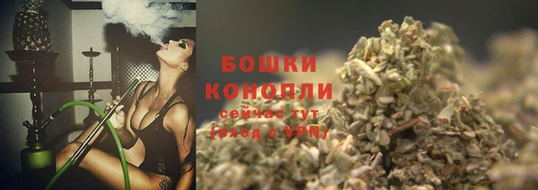 PSILOCYBIN Балахна