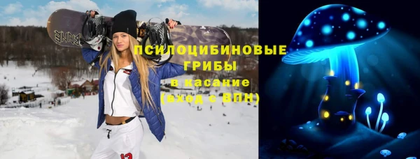 PSILOCYBIN Балахна
