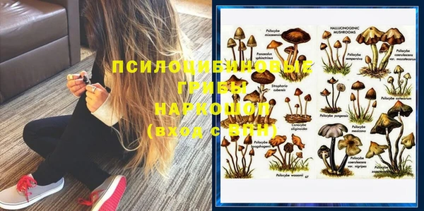 PSILOCYBIN Балахна