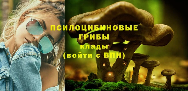 а пвп мука Балабаново