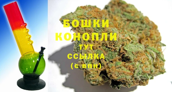 PSILOCYBIN Балахна