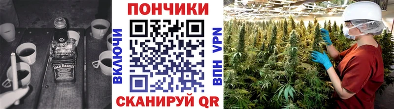 сколько стоит  Пионерский  KRAKEN сайт  Каннабис гибрид 